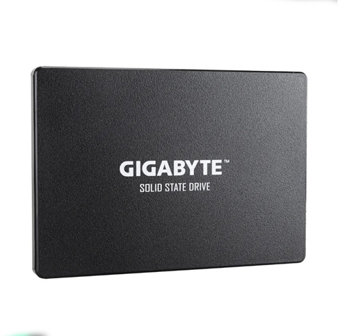 GIGABYTE GP-GSTFS31256GTND 256GB