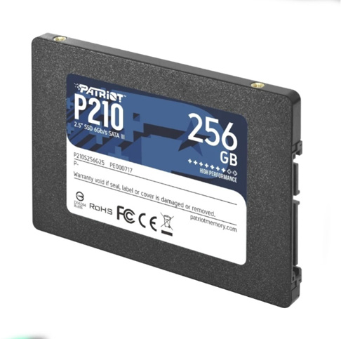 Patriot P210 256GB